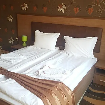 Otel Alegra 4*