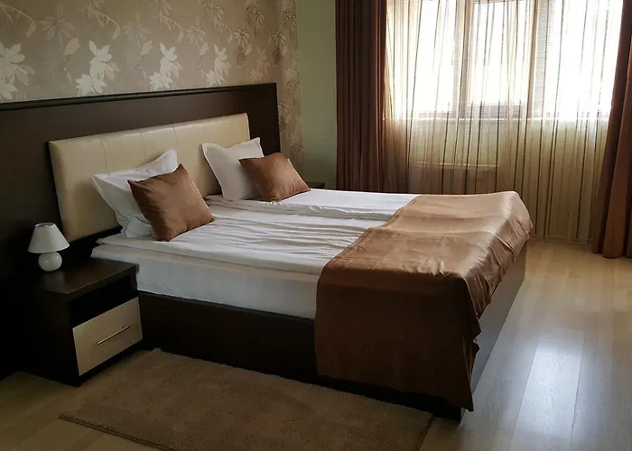 Alegra ולינגראד