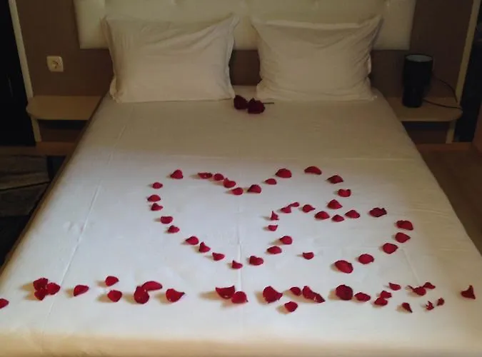 Alegra ולינגראד